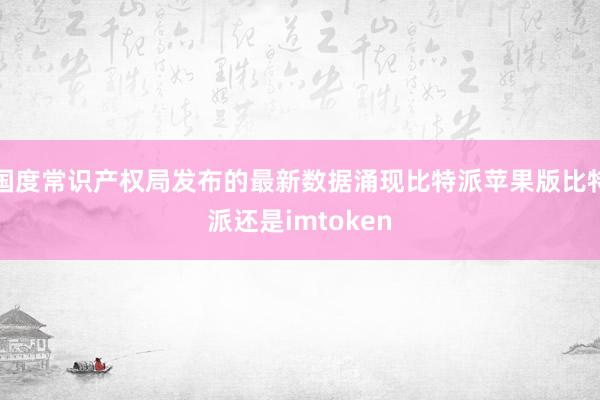 国度常识产权局发布的最新数据涌现比特派苹果版比特派还是imtoken