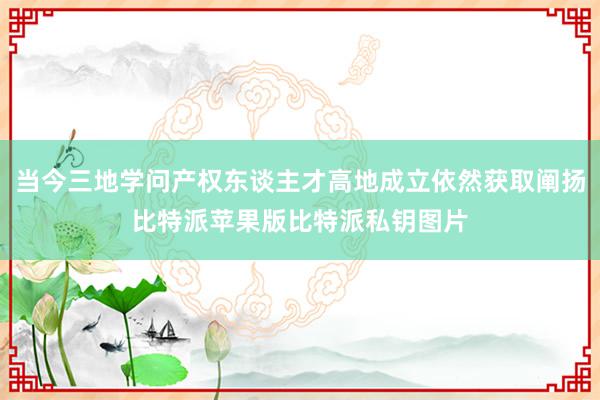 当今三地学问产权东谈主才高地成立依然获取阐扬比特派苹果版比特派私钥图片