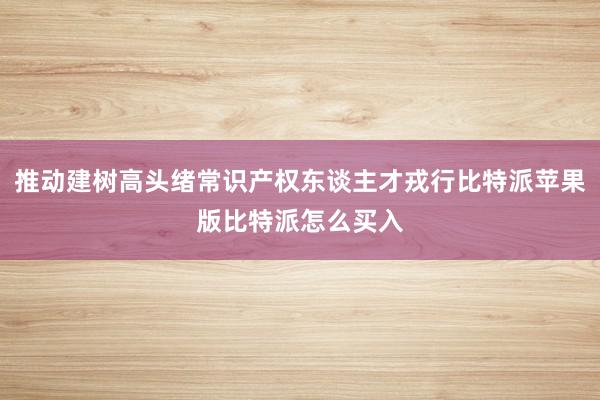 推动建树高头绪常识产权东谈主才戎行比特派苹果版比特派怎么买入