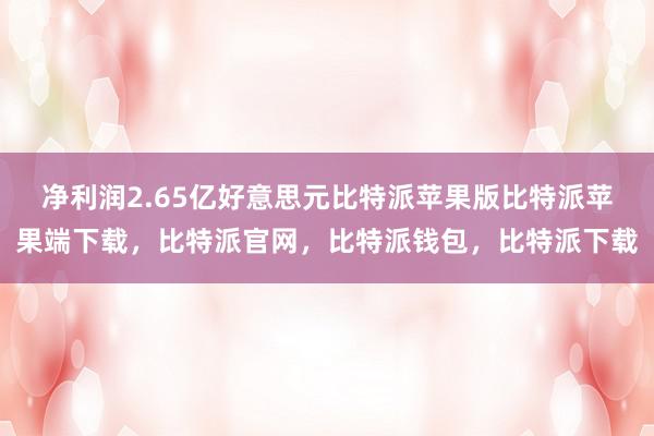 净利润2.65亿好意思元比特派苹果版比特派苹果端下载，比特派官网，比特派钱包，比特派下载