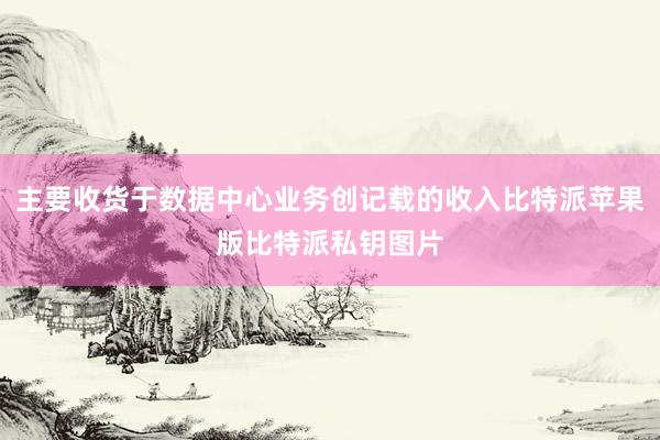 主要收货于数据中心业务创记载的收入比特派苹果版比特派私钥图片