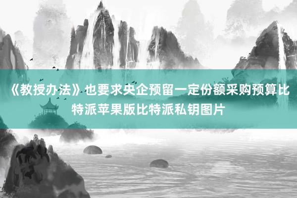 《教授办法》也要求央企预留一定份额采购预算比特派苹果版比特派私钥图片