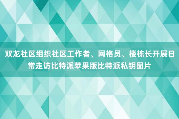 双龙社区组织社区工作者、网格员、楼栋长开展日常走访比特派苹果版比特派私钥图片