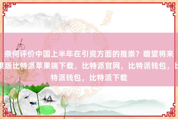 奈何评价中国上半年在引资方面的推崇？瞻望将来比特派苹果版比特派苹果端下载，比特派官网，比特派钱包，比特派下载