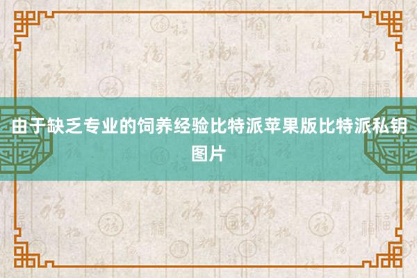 由于缺乏专业的饲养经验比特派苹果版比特派私钥图片