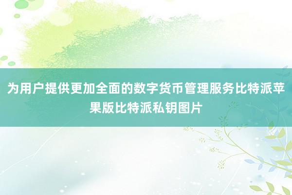 为用户提供更加全面的数字货币管理服务比特派苹果版比特派私钥图片