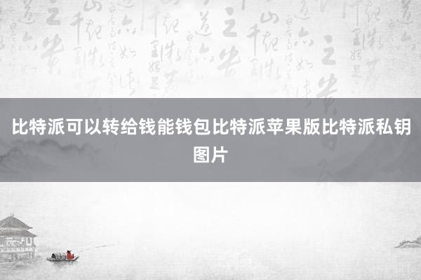 比特派可以转给钱能钱包比特派苹果版比特派私钥图片