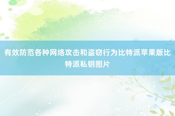 有效防范各种网络攻击和盗窃行为比特派苹果版比特派私钥图片