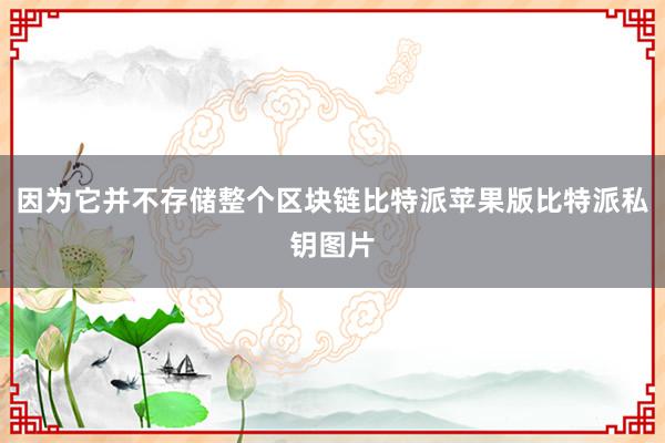 因为它并不存储整个区块链比特派苹果版比特派私钥图片