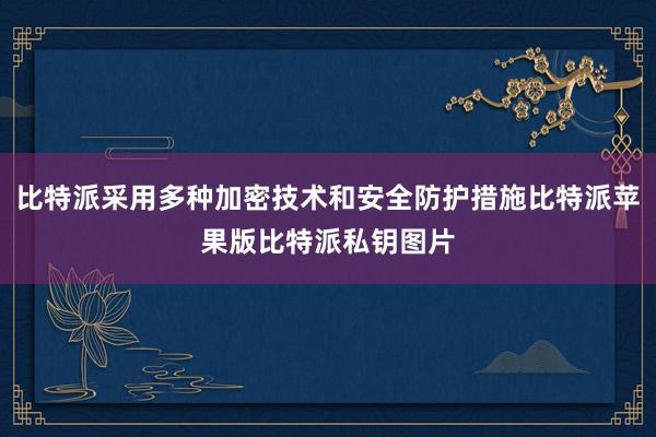 比特派采用多种加密技术和安全防护措施比特派苹果版比特派私钥图片