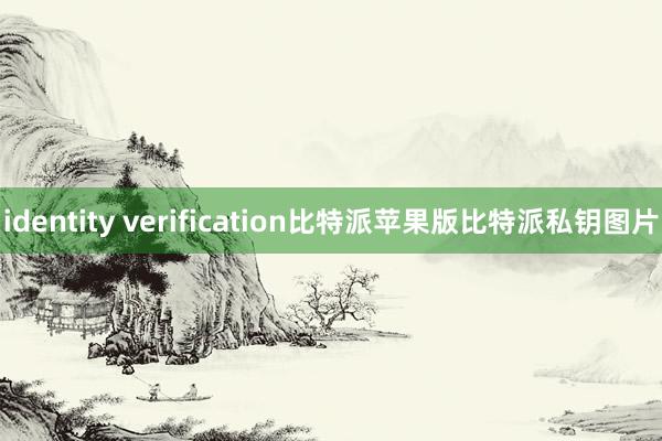 identity verification比特派苹果版比特派私钥图片