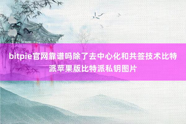 bitpie官网靠谱吗除了去中心化和共签技术比特派苹果版比特派私钥图片