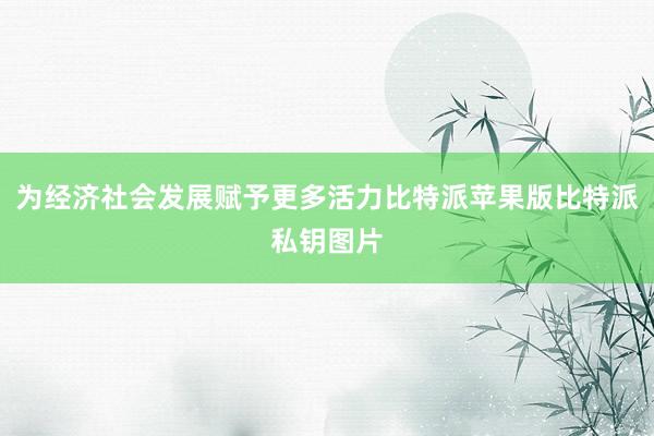 为经济社会发展赋予更多活力比特派苹果版比特派私钥图片