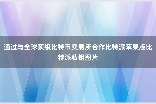 通过与全球顶级比特币交易所合作比特派苹果版比特派私钥图片