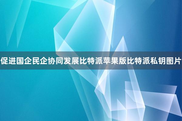 促进国企民企协同发展比特派苹果版比特派私钥图片