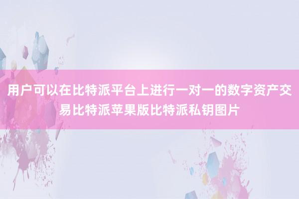 用户可以在比特派平台上进行一对一的数字资产交易比特派苹果版比特派私钥图片