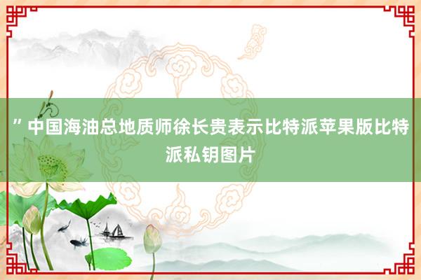 ”中国海油总地质师徐长贵表示比特派苹果版比特派私钥图片