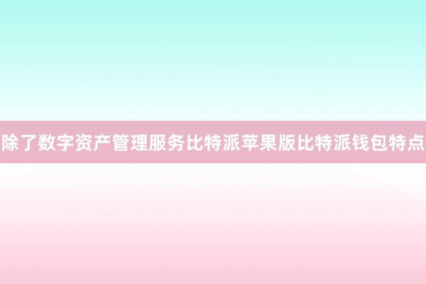 除了数字资产管理服务比特派苹果版比特派钱包特点