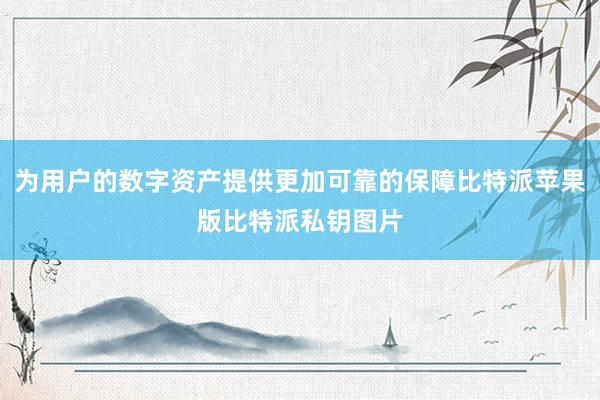 为用户的数字资产提供更加可靠的保障比特派苹果版比特派私钥图片