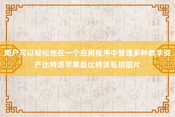 用户可以轻松地在一个应用程序中管理多种数字资产比特派苹果版比特派私钥图片