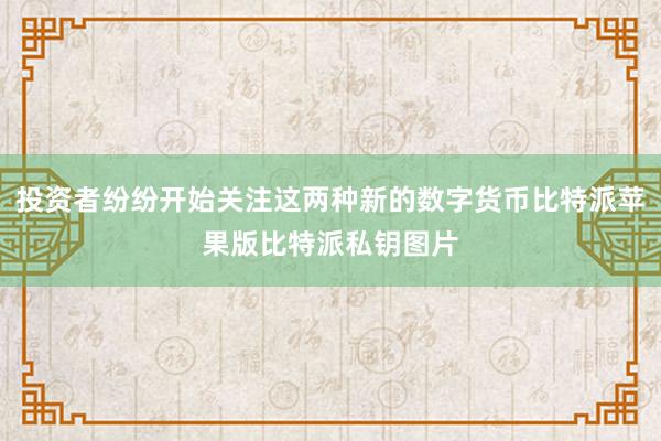 投资者纷纷开始关注这两种新的数字货币比特派苹果版比特派私钥图片