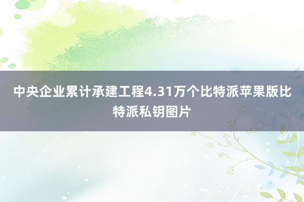 中央企业累计承建工程4.31万个比特派苹果版比特派私钥图片