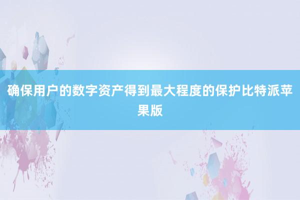 确保用户的数字资产得到最大程度的保护比特派苹果版