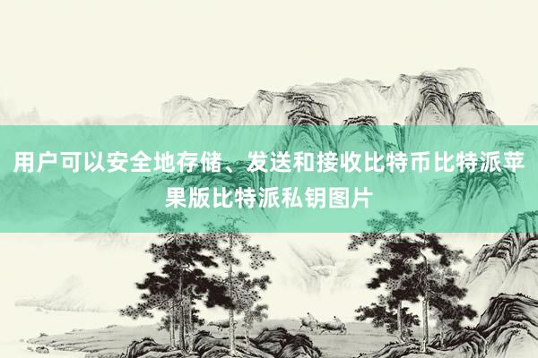 用户可以安全地存储、发送和接收比特币比特派苹果版比特派私钥图片