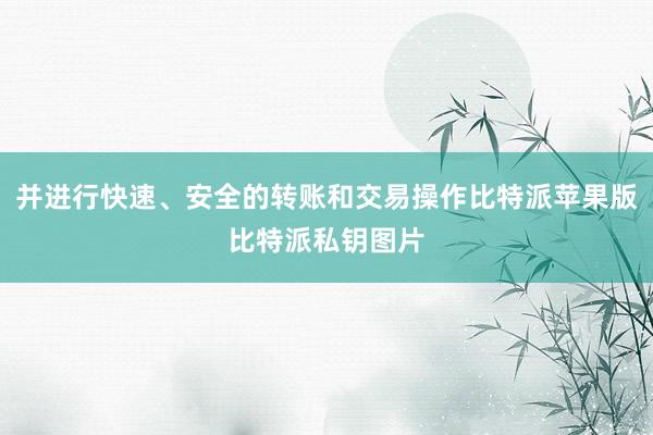 并进行快速、安全的转账和交易操作比特派苹果版比特派私钥图片