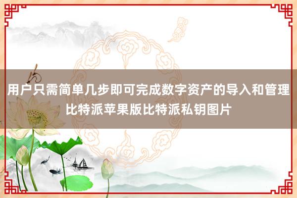 用户只需简单几步即可完成数字资产的导入和管理比特派苹果版比特派私钥图片