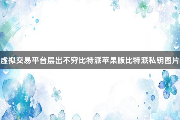 虚拟交易平台层出不穷比特派苹果版比特派私钥图片