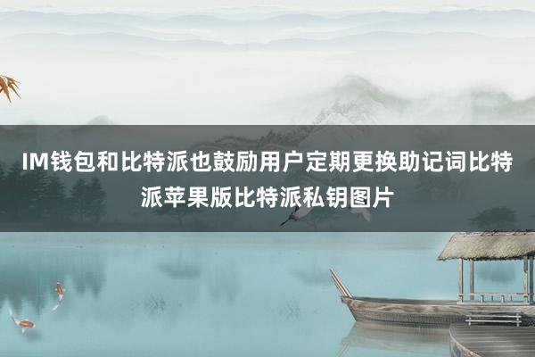 IM钱包和比特派也鼓励用户定期更换助记词比特派苹果版比特派私钥图片