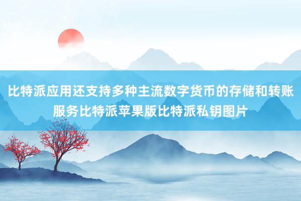 比特派应用还支持多种主流数字货币的存储和转账服务比特派苹果版比特派私钥图片