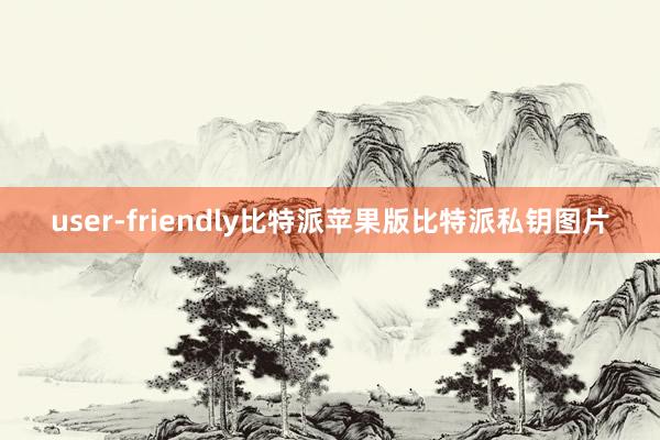 user-friendly比特派苹果版比特派私钥图片