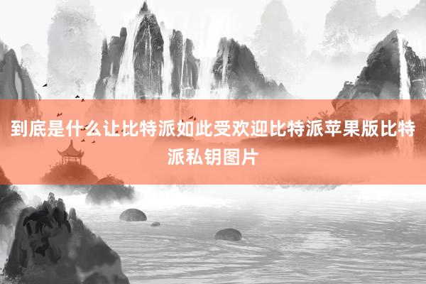 到底是什么让比特派如此受欢迎比特派苹果版比特派私钥图片