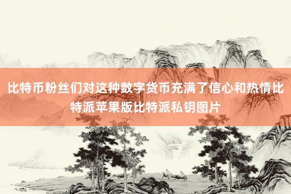 比特币粉丝们对这种数字货币充满了信心和热情比特派苹果版比特派私钥图片