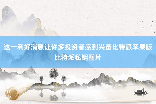 这一利好消息让许多投资者感到兴奋比特派苹果版比特派私钥图片