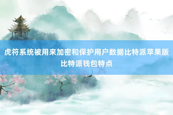 虎符系统被用来加密和保护用户数据比特派苹果版比特派钱包特点