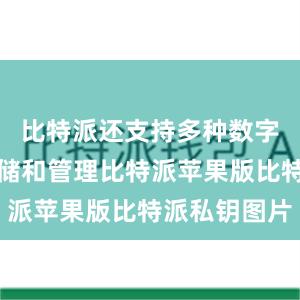 比特派还支持多种数字货币的存储和管理比特派苹果版比特派私钥图片