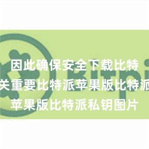 因此确保安全下载比特派钱包至关重要比特派苹果版比特派私钥图片