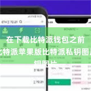 在下载比特派钱包之前比特派苹果版比特派私钥图片