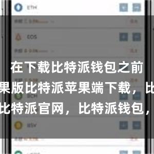 在下载比特派钱包之前比特派苹果版比特派苹果端下载，比特派官网，比特派钱包，比特派下载