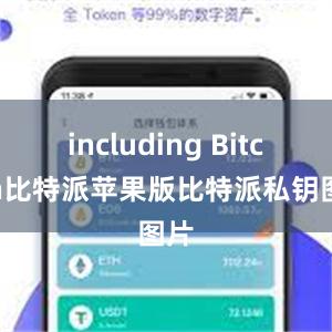 including Bitcoin比特派苹果版比特派私钥图片