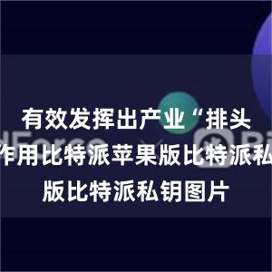 有效发挥出产业“排头兵”的作用比特派苹果版比特派私钥图片