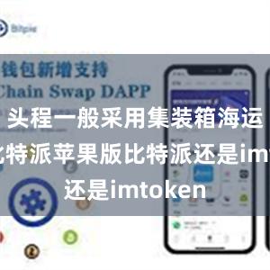 头程一般采用集装箱海运方式比特派苹果版比特派还是imtoken