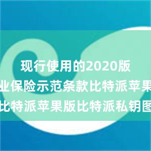 现行使用的2020版机动车商业保险示范条款比特派苹果版比特派私钥图片