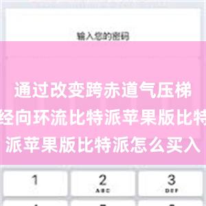 通过改变跨赤道气压梯度和大洋经向环流比特派苹果版比特派怎么买入