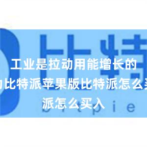 工业是拉动用能增长的主力比特派苹果版比特派怎么买入