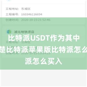 比特派USDT作为其中的翘楚比特派苹果版比特派怎么买入