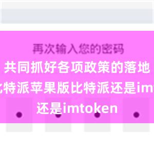 共同抓好各项政策的落地实施比特派苹果版比特派还是imtoken